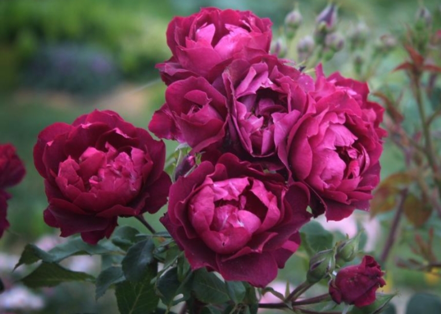 Фото 2