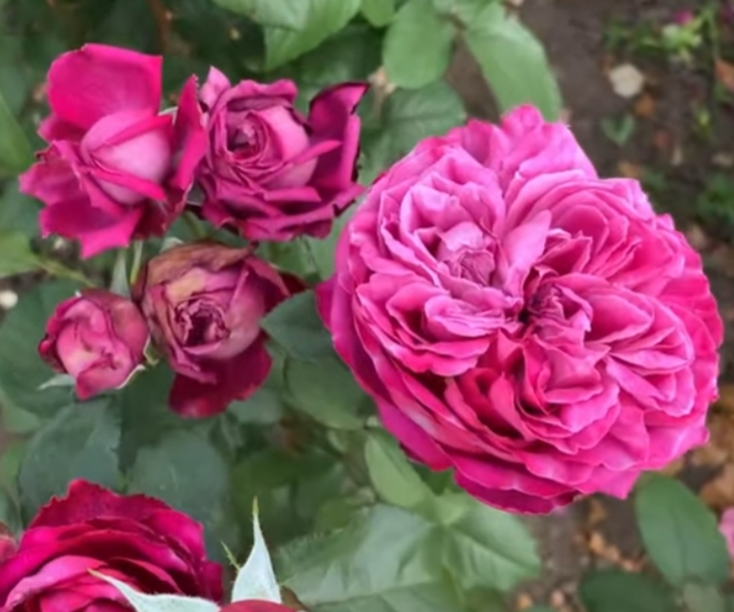 Фото 2