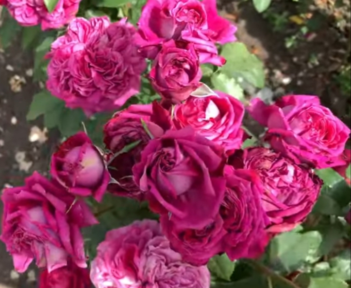 Фото 3