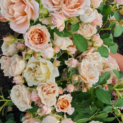 Фото 3